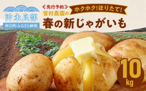 【2026年先行予約開始🛒🔥】皆村農園のホクホク！ほりたて！春の新じゃがいも 10kg
