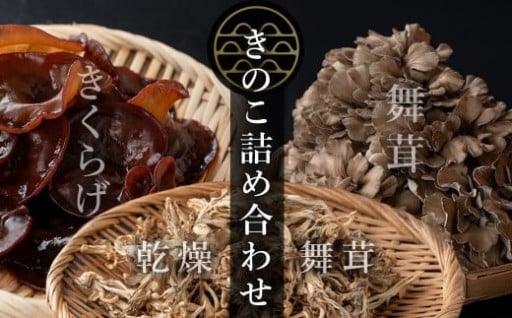七つ森ふもと舞茸 詰め合わせギフトセット
