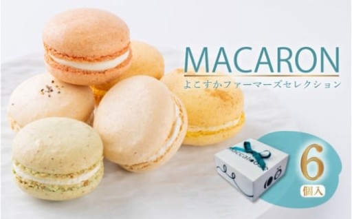 必見！よこすか野菜の魅力がマカロンに！