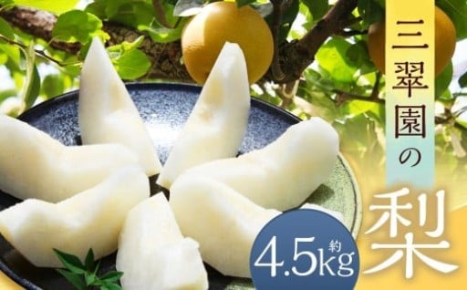 三翠園の梨 4.5kg