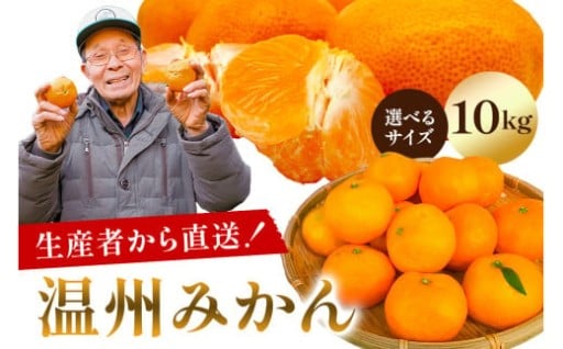 【サイズが選べる】温州みかん 10kg