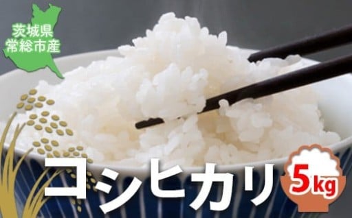 【令和7年産】【無洗米】コシヒカリ5kg 茨城県常総市産 精米