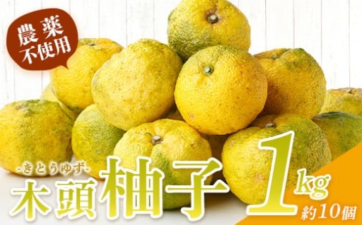 【10月末頃より随時発送】木頭柚子（黄玉）1kg