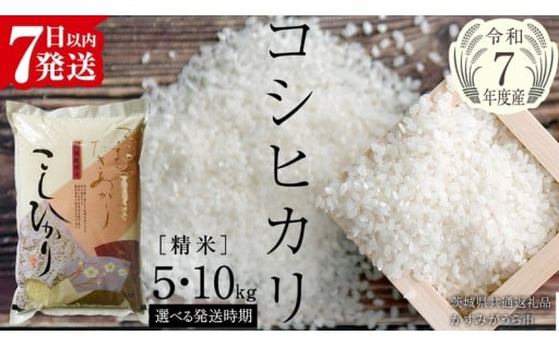 ＼ 決済から7日以内に発送🚚💨 ／ 令和7年産こしひかり🌾
