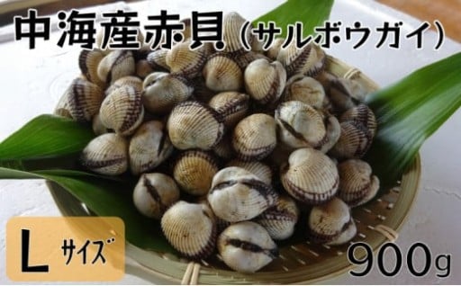 【受付開始】中海産赤貝（サルボウガイ）Ｌサイズ 900g