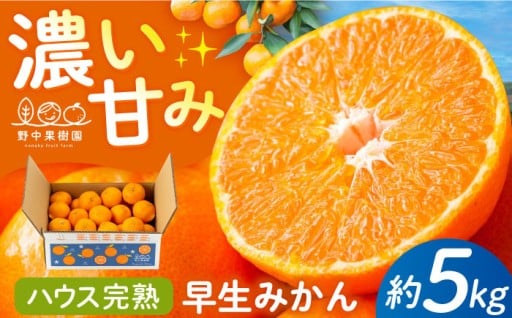 太陽の恵み！完熟早生みかん約5kg