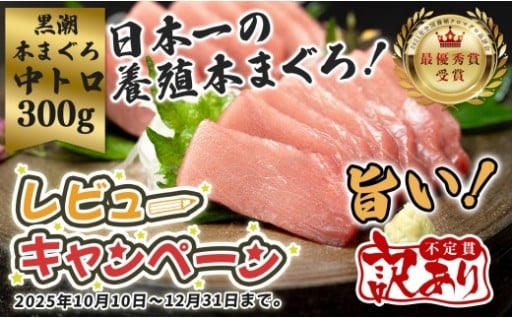 📣＼キャンペーン実施中／　本まぐろ「中トロ」頼んで「赤身」がもらえるチャンス😲💗