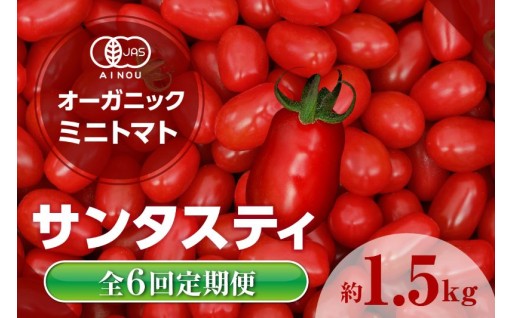 ★先行予約★　【全6回定期便】🍅オーガニックミニトマト（サンタスティ）約1.5kg🍅
