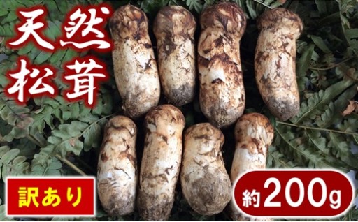 岩手県産 松茸 天然 約200g 訳あり 小さめ