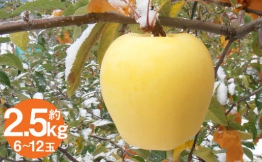 二戸産りんご はるか 約2.5kg （6～12玉）