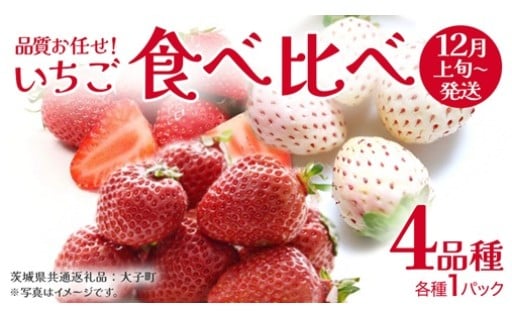 🍓『推しいちご』が見つかる🍓品種おまかせ！いちごの食べ比べ