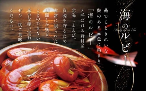 ＼海産物の宝庫／野付産の北海シマエビ🦐🦐