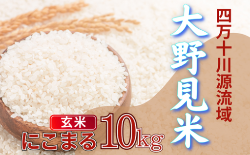 【新米予約】ふっくらやわらか、もちもちの特別栽培米♪