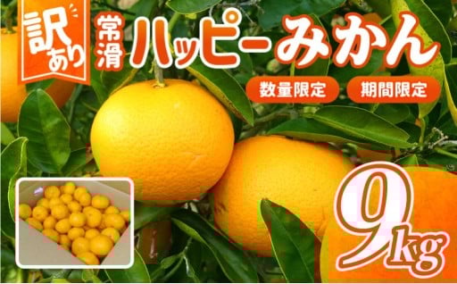 【訳あり】🍊常滑ハッピーみかん 1箱（9kg）🍊
