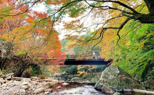 🍂行楽シーズン到来！四万十市の宿泊補助券🎫🌊
