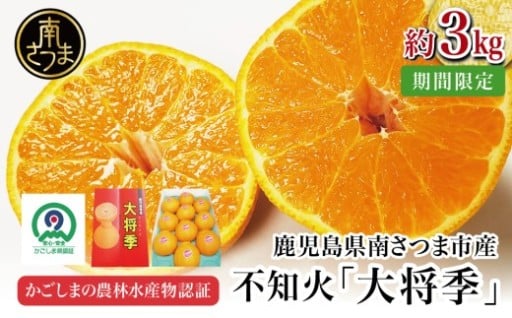 鹿児島生まれのデコポン由来の希少柑橘「大将季」