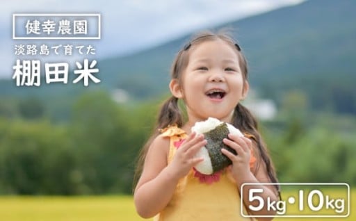 健幸農園の棚田米 5kg・10kg 【2025年産新米】