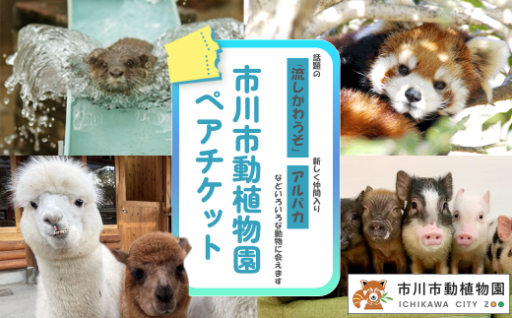 市川市動植物園ペアチケット