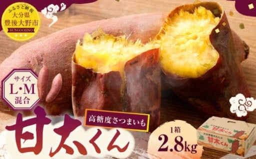 【先行予約】 高糖度さつまいも 甘太くん 約2.8kg(Lサイズ5本・Mサイズ8本)