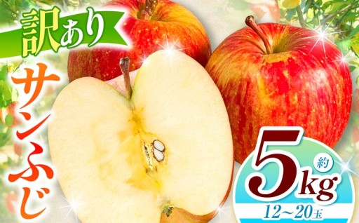 【2025年先行予約】訳あり サンふじ 5kg