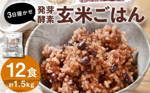 【常温】3日寝かせ発芽酵素 玄米ごはん 12食 セット (125g×12食)