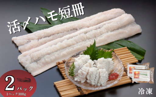 活〆鱧短冊（冷凍） 300g×2パック🐟