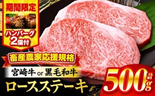 【宮崎県宮崎市】ステーキ×2・ハンバーグ×2個