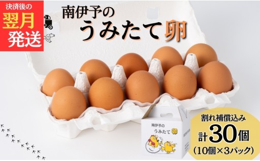 南伊予のうみたて卵　30個🥚