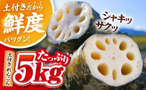 愛西市の「土」と生産者さんの「情熱」をお届け！