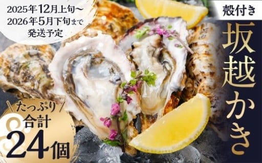牡蠣 坂越かき 殻付き牡蠣 24個