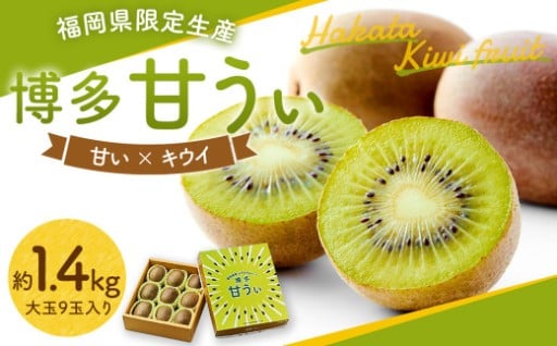 【11/3まで受付】福岡県産 博多 甘うぃ 約1.4kg 大玉9玉入り