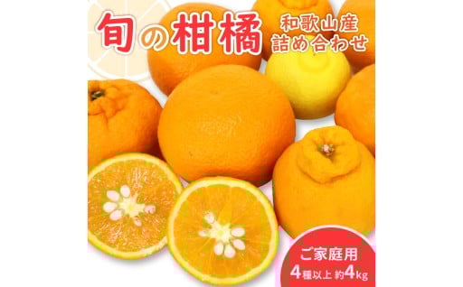 柑橘詰め合わせセット 家庭用４種以上 約4kg 和歌山産≪先行予約2026年1月下旬頃より順次発送分≫