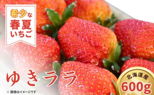 先行予約受付開始！北海道の希少いちご「ゆきララ」🍓