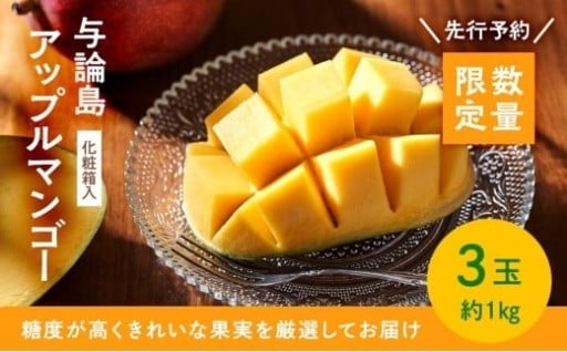 【数量限定】鹿児島 与論島アップルマンゴー特A秀品３個約１kg 化粧箱入り【先行予約】