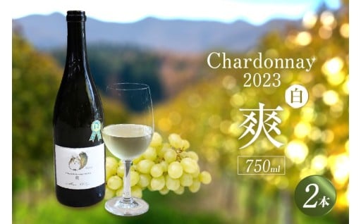 🍾Chardonnay2023 爽🍾 750ml×2本