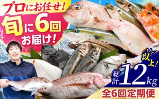 ＼プロが厳選！！若狭湾の天然魚／【全6回定期便(隔月発送)】旬の天然鮮魚 2kg おまかせセット