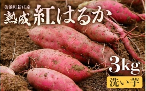 【数量限定】熟成！コクと甘み✨ほくほく食感🍠
