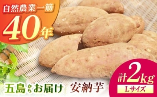 ねっとり甘い、とろける食感！