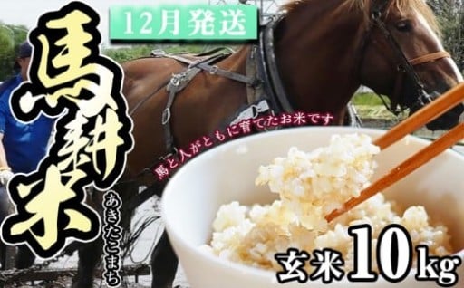 馬と共に作った令和7年度産のお米を発送いたします