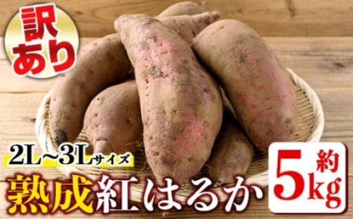 熟成紅はるか(約5kg・2L～3Lサイズ混合)