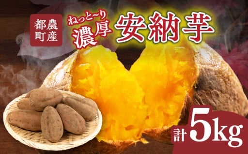 【宮崎県都農町】旬の味覚＼都農町産安納芋／♪