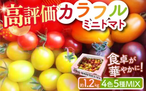 【先行予約】カラフルミニトマト