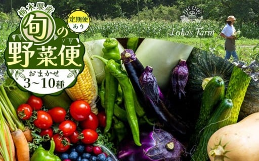 【選べる定期便】栃木県産 旬の野菜 (果物) 便 3～10種 定期便あり