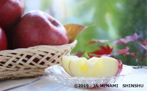 太陽の恵をたくさん浴びて育った南信州のサンふじ🍎