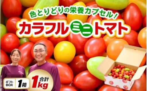 【個性派🍅】色も形も味も食感も異なる5品種✨