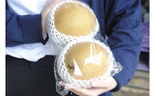 【募集中】果実極大!中野農園「 王秋梨」の受付は11月中旬まで!