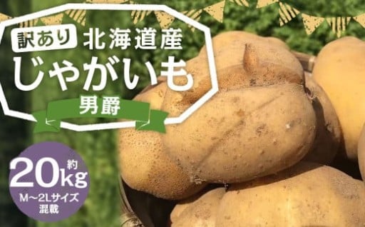 【訳あり】北海道産 じゃがいも 男爵 M～2Lサイズ混載 約20kg 1箱