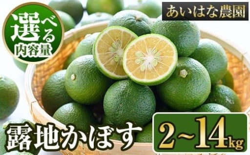 露地カボス(約2～14kg) 