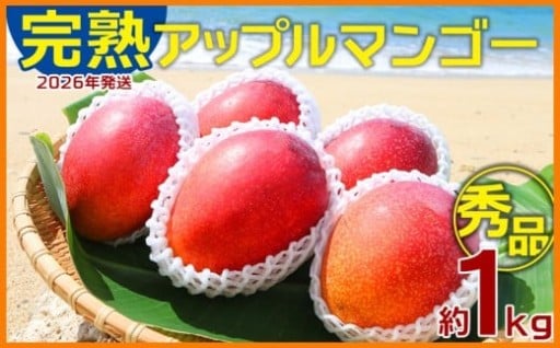 【2026年発送】農園一番人気の完熟アップルマンゴー秀品・約1kg
