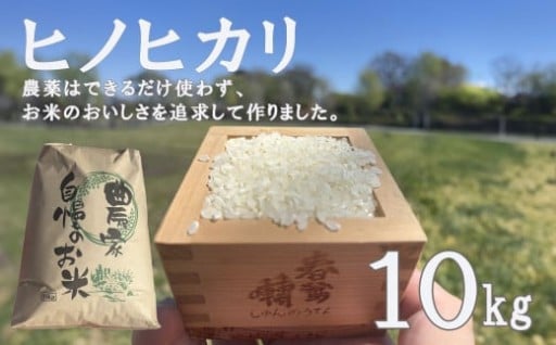 【令和7年度産先行予約】ヒノヒカリ 10kg